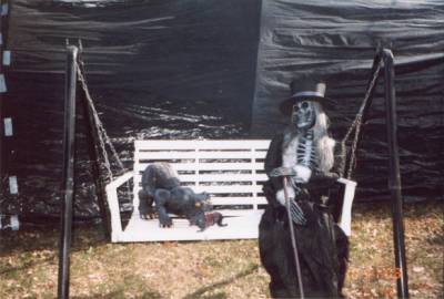 Close up of skeleton and cat.